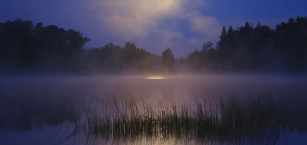 Scandinavische natuur